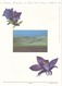 FRANCE - DOCUMENT OFFICIEL SERIE NATURE PARCS NATIONAUX CAD SAINT ETIENNE DU TINEE FLORAC PLANAY 20/4/1996 - Postdokumente