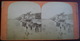 VUE STÉRÉOSCOPIQUE    -  Trouville,la Promenade De La Plage. - Fotos Estereoscópicas