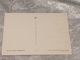 Pluto Topolino , Cartolina, No Circolata Del 1990,2000 - Autres & Non Classés