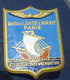 MILITARIA, Insigne Du Bataillon De L'air 117, Paris - Airforce