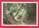 Modern Post Card Of Water Way To Tasek Chini,Malaysia,D38. - Malaysia