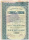 Titre Ancien - Compagnie Du Congo Pour Le Commerce Et L'Industrie - Société Anonyme - Titre De 1929 - Afrique