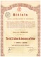 Titre Ancien - Biélaïa Société Anonyme Minière Et Industrielle (Donetz) - Titre De 1914 - Actions N°s 190376 à 190400 - Russie