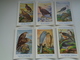 Beau Lot De 10 Cartes Postales Oiseaux  Oiseau  Illustrateur H.Dupond     Mooi Lot Van 10 Postkaarten Van Vogels  Vogel - 5 - 99 Cartes