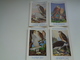 Beau Lot De 10 Cartes Postales Oiseaux  Oiseau  Illustrateur H.Dupond     Mooi Lot Van 10 Postkaarten Van Vogels  Vogel - 5 - 99 Cartes