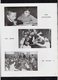 Delcampe - VP16.512 - MILITARIA - 1961 - Portfolio - L'Orphelinat De La Police D' OSMOY ( Hsitorique,Photos & Pubs ......) - Police & Gendarmerie