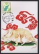 2019 Taiwan R.O.CHINA - Maximum Card.- New Year’s Greeting Postage Stamps - Cartes-maximum