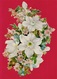 Grand (grande) CHROMO Gaufré Découpi Fin XIXe Fleurs * Flowers Embossed - Fleurs