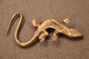 Magnifique Objet Ancien En Bronze,Dinant,Salamandre,longueur.16 Cm. Patine D'origine,bel Objet Ancien - Bronces