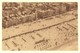 A1344	[Postkaart] La Panne / Vue Aérienne De La Digue Et De La Plage (Arfo) [panorama Strand En De Dijk Luchtzicht] - De Panne