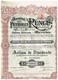 Titre Ancien - Société Des Pétroles "Runcu" - Société Anonyme -Titre De 1925 - Déco - Aardolie