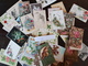 CPA - Carte Postale - Lot De 50 Cartes Postales - Fantaisies - Fleurs Et Autres ( Lot I27 ) - 5 - 99 Postkaarten