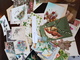 CPA - Carte Postale - Lot De 50 Cartes Postales - Fantaisies - Fleurs Et Autres ( Lot I27 ) - 5 - 99 Postkaarten