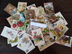 CPA - Carte Postale - Lot De 50 Cartes Postales - Fantaisies - Fleurs Et Autres ( Lot I28 ) - 5 - 99 Postkaarten