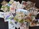 Delcampe - CPA - Carte Postale - Lot De 50 Cartes Postales - Fantaisies - Fleurs Et Autres ( Lot I28 ) - 5 - 99 Postkaarten