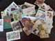 CPA - Carte Postale - Lot De 50 Cartes Postales - Fantaisies - Fleurs Et Autres ( Lot I33 ) - 5 - 99 Postkaarten