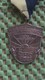 Medaille :Netherlands  -   W.S.V De Ploeg - Zelhem / Vintage Medal - Walking Association . - Andere & Zonder Classificatie