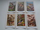 Beau Lot De 10 Cartes Postales Oiseaux  Oiseau  Illustrateur H.Dupond     Mooi Lot Van 10 Postkaarten Van Vogels  Vogel - 5 - 99 Postkaarten