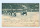 Y5585/ Stierkampf  Corrida De Toros AK Spanien 1902 - Other & Unclassified