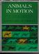 Animals In Motion - Eadweard Muybridge - Pré Cinéma - Dover Publications 1957 - Autres & Non Classés