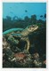 MALDIVES - TURTLE (PHOTO UELI WEIBEL) / THEMATIC STAMP-COAST GUARD / SHIPS - Maldive