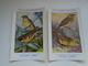 Beau Lot De 10 Cartes Postales Oiseaux  Oiseau  Illustrateur H.Dupond     Mooi Lot Van 10 Postkaarten Van Vogels  Vogel - 5 - 99 Cartes