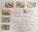 Lebanon Liban 1966 Circulated Letter Franked With Complete Set Of Birds From Beirut To Congo - Lebanon