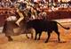 Spain España  Corrida De Toros  Picador    Stierengevecht   Barry 4096 - Taureaux