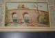 CALENDRIER ANNEE 1935, ILLUSTRATION PAYSAGE CATALAN, IMPRIMERIE OLLER - Grand Format : 1921-40