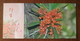 Ascocentrum Ampullaceum,China 2013 Magical Xishuangbanna Wild Orchid Advertising Pre-stamped Card,specimen Overprint - Orchids