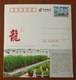 Greenhouse Moth Orchid,China 2010 Shuangxing Agricultural Ecotourism Area Advertising Pre-stamped Card - Orchidee