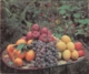 Delcampe - Lebanon Beyrouth Beirut Fruits De Liban Old Guide Brochure Depliant Prospect - Tourism Brochures