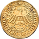 Altdeutschland Und RDR Bis 1800: Nürnberg: Goldgulden 1520, Vgl. Friedberg 1801, Vgl. Kellner 11, Ga - Autres & Non Classés
