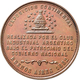 Medaillen Alle Welt: Argentinien: Bronzemedaille 1882 Von R. Grande. Preismedaille Der Kontinental-A - Non Classés