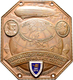 Medaillen Deutschland: Friedrichshafen: Einseitige Bronzeplakette 1929, Von Moser, München. Weltfahr - Autres & Non Classés