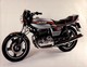 Ducati500 Desmo +-24cm X 17cm  Moto MOTOCROSS MOTORCYCLE Douglas J Jackson Archive Of Motorcycles - Andere & Zonder Classificatie