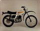 Ducati +-24cm X 17cm  Moto MOTOCROSS MOTORCYCLE Douglas J Jackson Archive Of Motorcycles - Andere & Zonder Classificatie