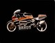 BMW  +-24cm X 17cm  Moto MOTOCROSS MOTORCYCLE Douglas J Jackson Archive Of Motorcycles - Andere & Zonder Classificatie