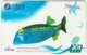 CHINA B-125 Prepaid ChinaTelecom - Painting, Animal, Sea Life, Fish - Used - China