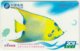 CHINA B-126 Prepaid ChinaTelecom - Painting, Animal, Sea Life, Fish - Used - China