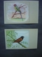 Lot De 10 Cartes Postales - Illustrations Oiseaux - Vogels - Birds - Oiseaux