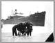 Delcampe - PHOTO PRESS 1959 -  FREIGHTER ANNA -CM.  24X19  Bateau  Barco  Bateaux Nave Ship Boat Cargo - Barche