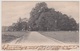 Oosterbeek - Weg Naar De Hemelsche Berg - 1906 - Oosterbeek