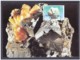10.- SPAIN ESPAGNE 1994. FOUR MAXIMUM CARDS. MINERALS MINERAL - Minerales
