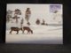 Finland 1995 Reindeer Maxicard__(U-2913) - Maximum Cards & Covers