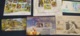 India 2015 Year Pack Of 9 M/s On Mahatma Gandhi Wildlife Yoga Space Joints Issue MNH - Full Years