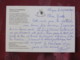 France 2005 Postcard Bird Panure Mesange To France - Oiseaux