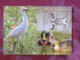 France 2014 Postcard Bird Duck Crane Marquenterre To France - Marianne - Birds