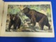 RARE ANIMALS ANTIQUE BOOK FOR CHILDREN " DIEREN IN HUN OMGEVING " BY JONGES EN MEISJES NETHERLANDS - Oude Boeken