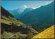 °°° 16965 - SVIZZERA - VS - BINN , HILLENHORN - 1986 With Stamps °°° - Binn